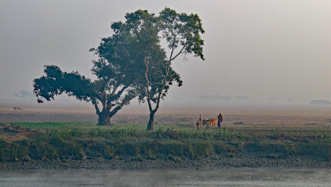 Landschap Birma vanaf de rivier tussen Sittwe en Mrauk U