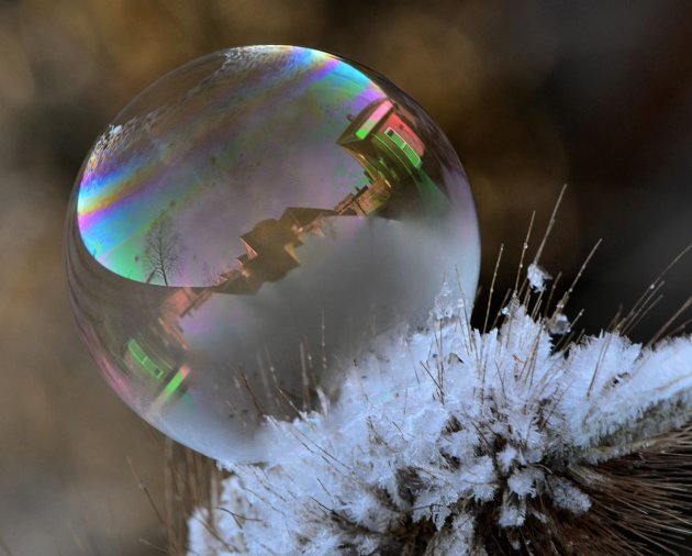 Bevroren zeepbel fotograferen
