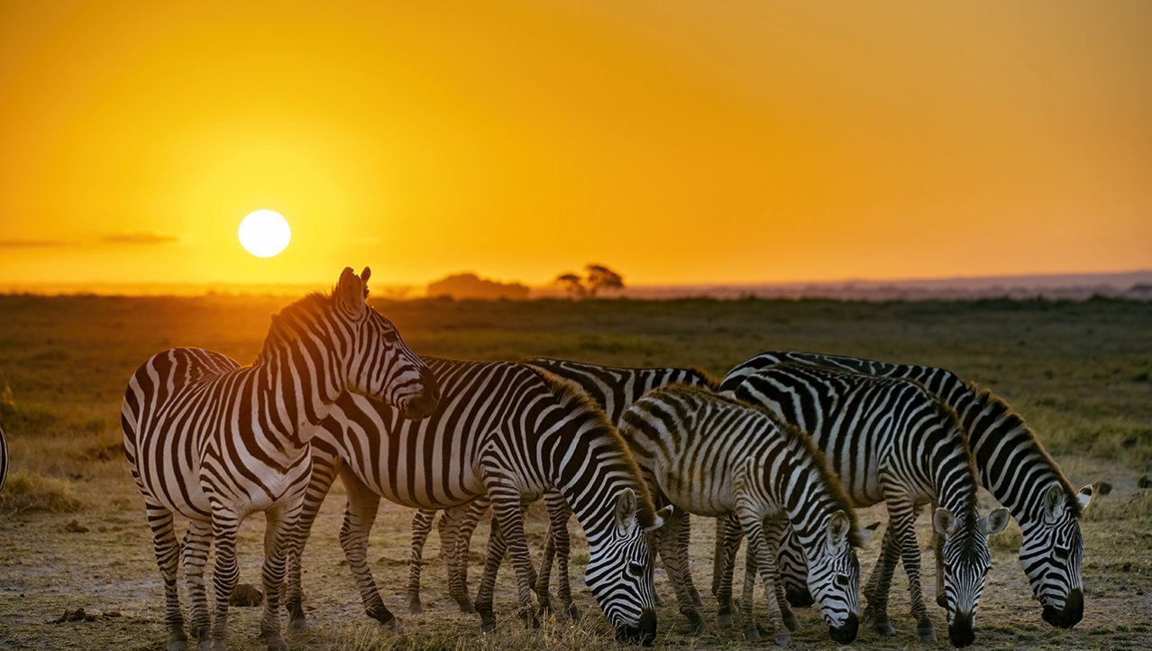 Amboseli Sunrise