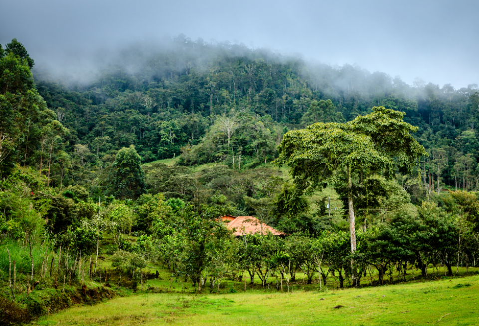 Een kleine boerderij op Costa Rica. Foto: Getty Images 