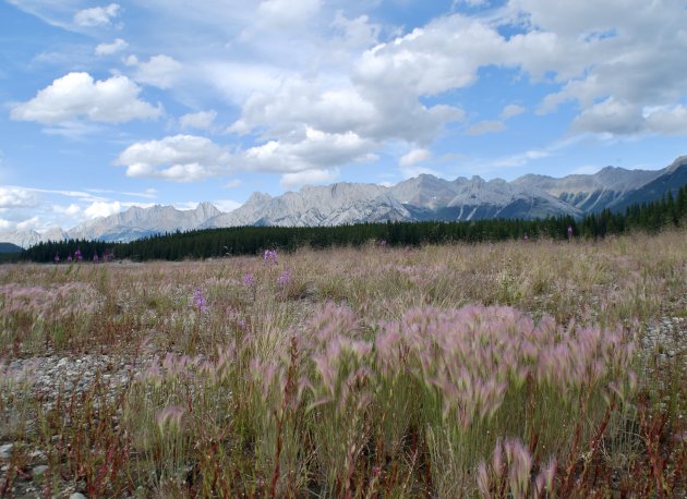 Peter Lougheed Provincial Park