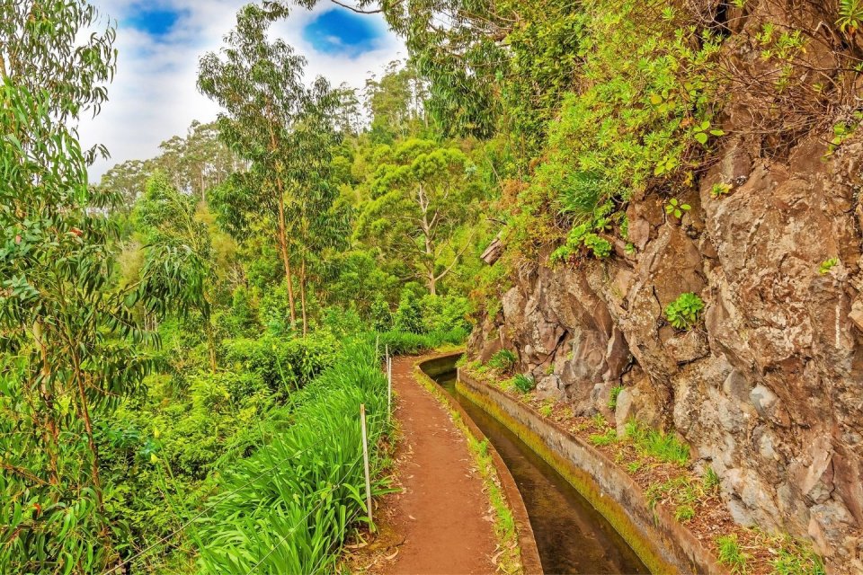 Levada, Madeira. Foto: Getty Images