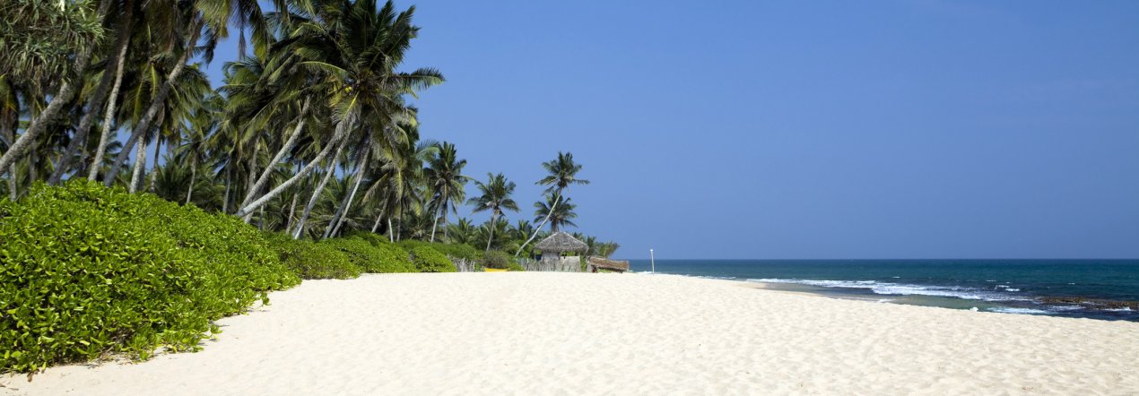 Waai uit op de mooiste stranden van Sri Lanka - tip foto