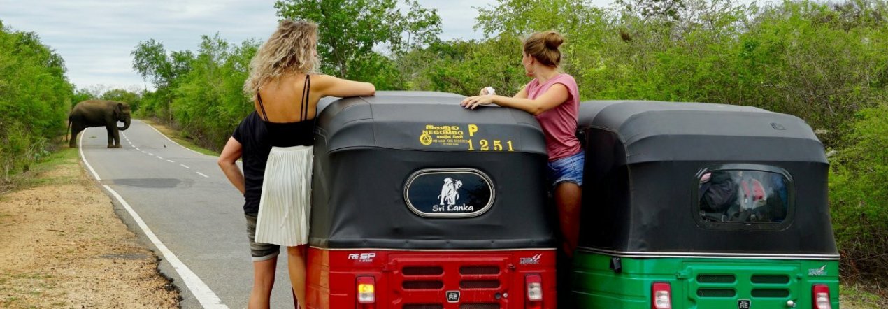 Ga op safari in je eigen tuktuk - tip foto