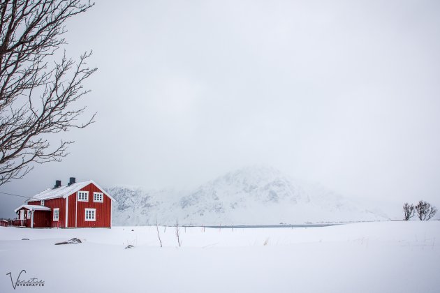 Red house in the Snow
