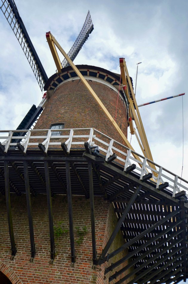 De molen van Ruysdael, of toch niet