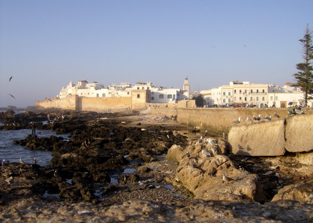 Vis eten bij de haven van Essaouira