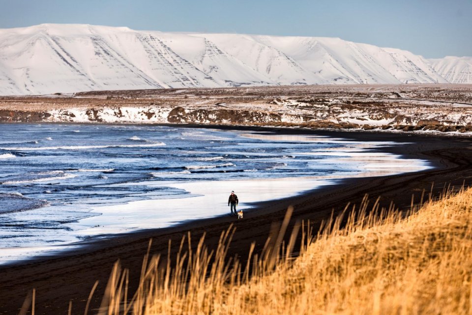 Het strand van Borgarsandur in IJsland. Foto: Audunn Ljosmyndari