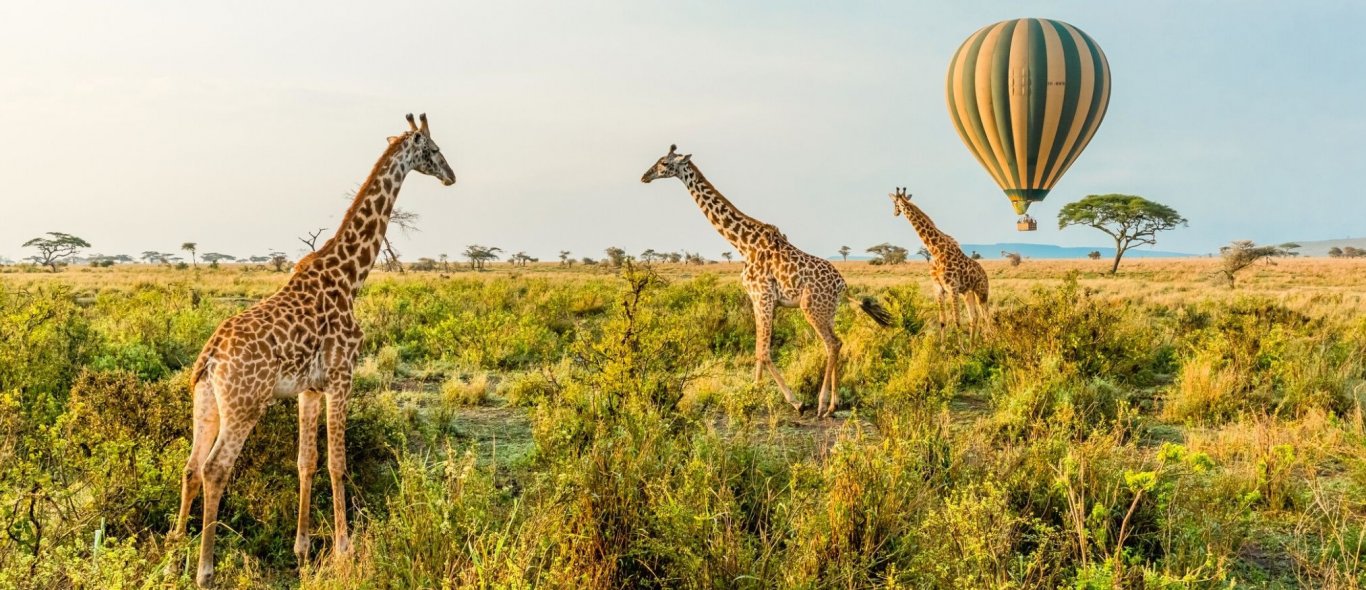 De 4 mooiste ballonvaarten van Afrika image