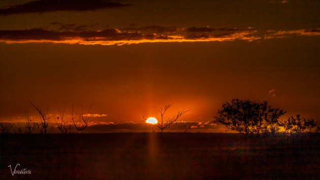 De zon gaat onder in Krugerpark