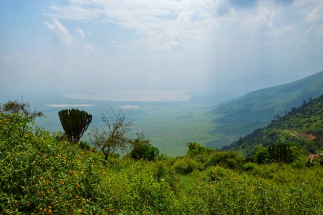 Uitzicht op de Ngorongoro krater