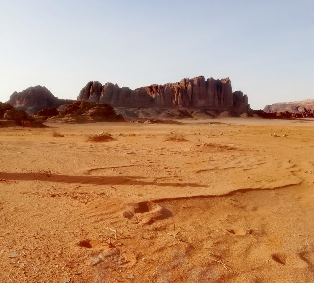 The vast desert
