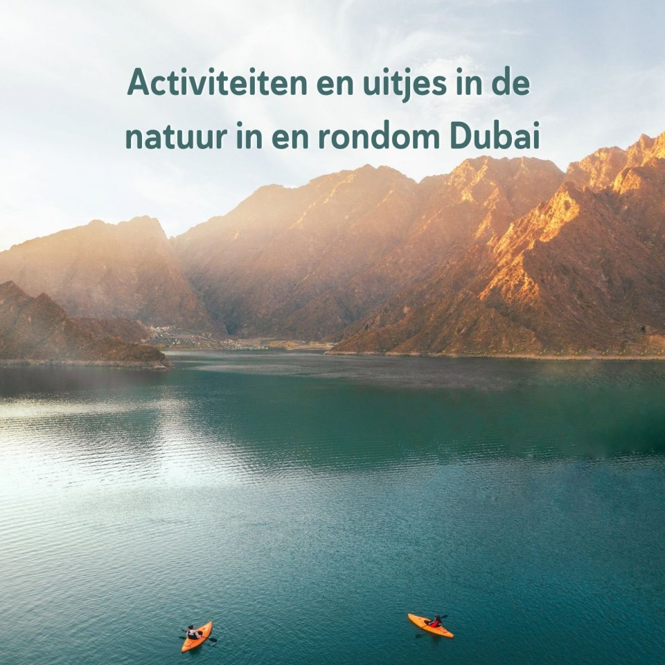 Vakantie in Dubai: dit zijn de leukste activiteiten en uitjes in de natuur