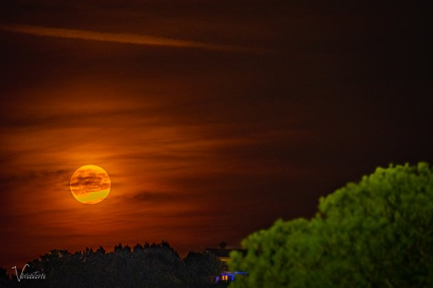 Volle maan boven Marina Portoroz
