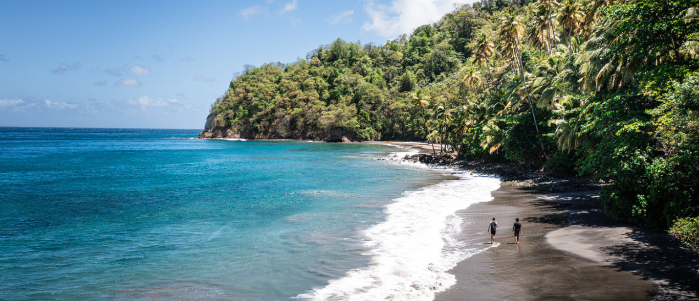 Het beste van Martinique in 10 foto's image