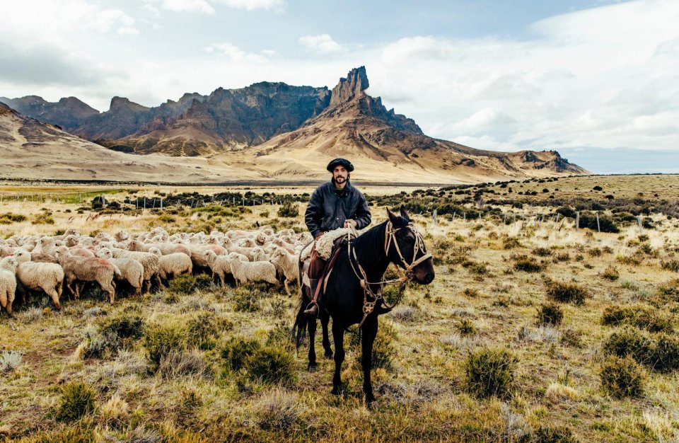 Paarden zijn het voornaamste vervoermiddel op het onherbergzame terrein van Estancia La Criolita, de familieranch van de familie Sharp in Patagonië. Foto: Pie Aerts