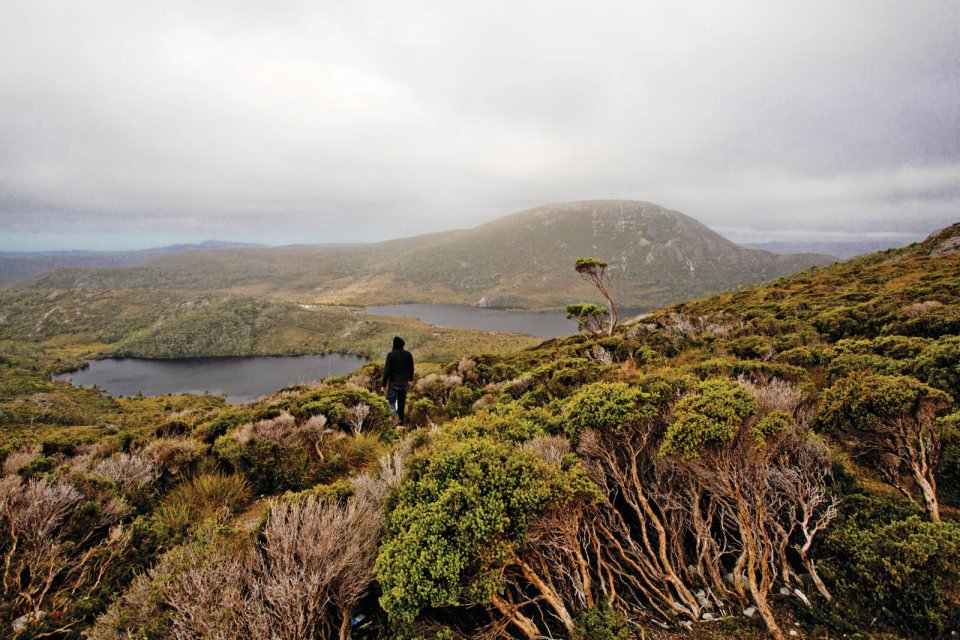 Cradle Mountain-Lake St Clair National Park is één van de grote trekpleisters van Tasmanië. In het zuidelijke deel ligt Lake St Clair, het diepste meer van Australië. Foto Louise ten Have