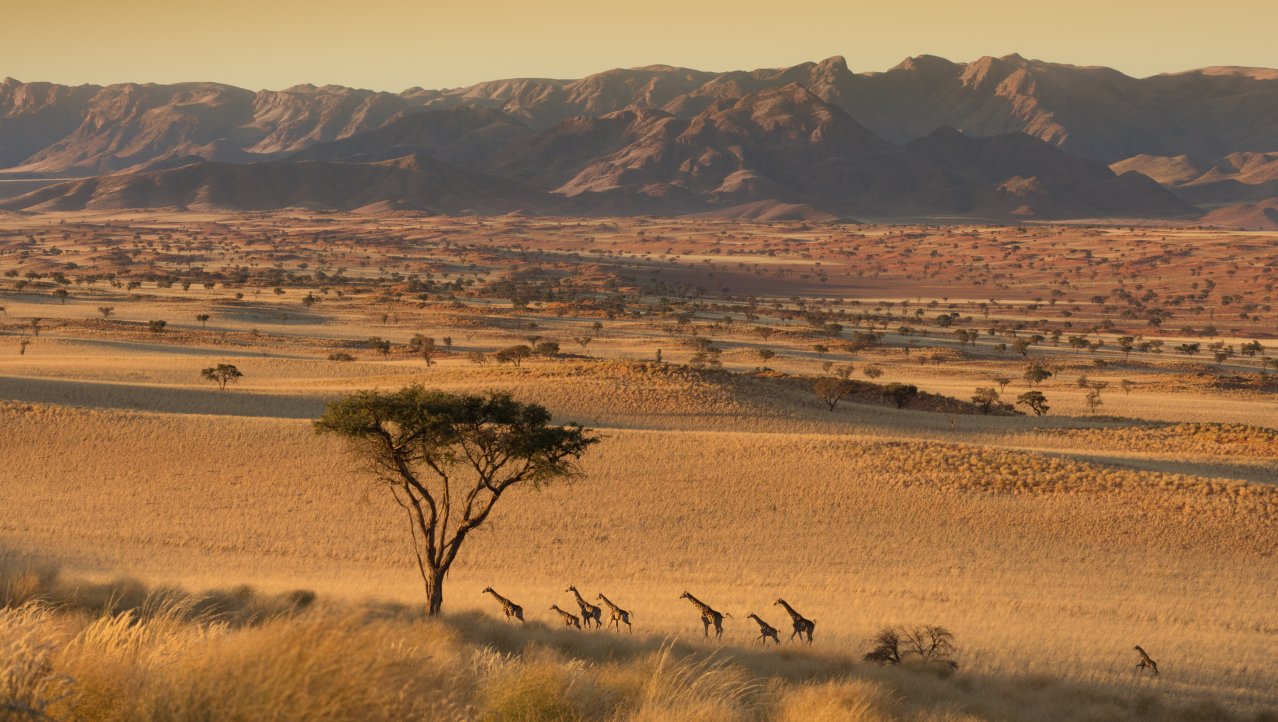 8 op een rij in NamibRand