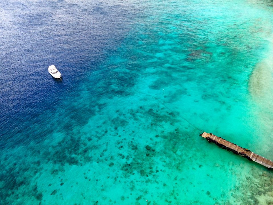 de pier bij Playa Kalki Curaçao. Foto: Getty Images