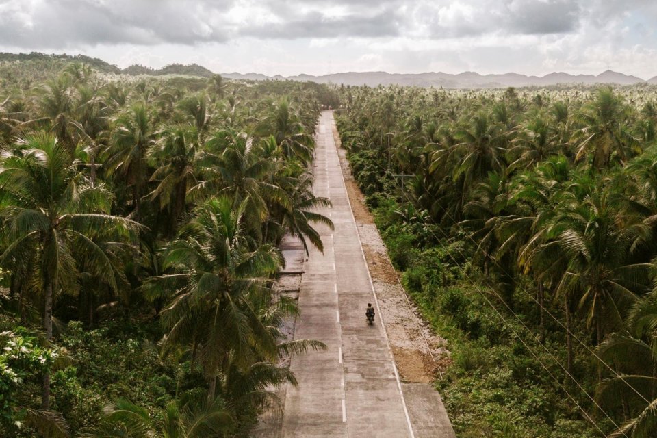 Palmbomen Siargao Filipijnen Surigao del Norte. Foto: Remon Rijper