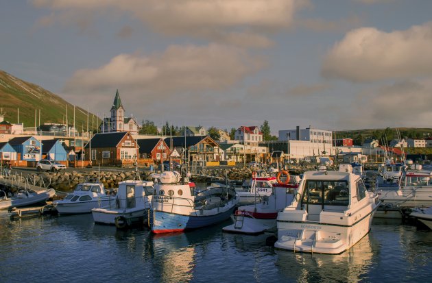Walvis-hoofdstad van IJsland