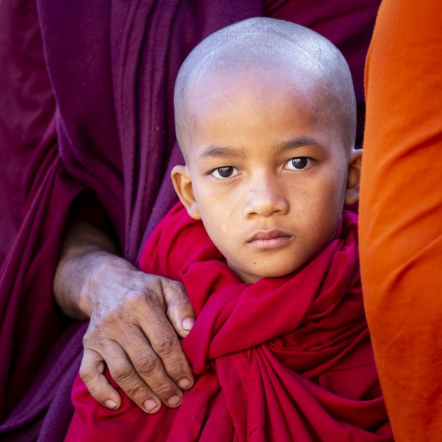 Jonge monnik bij het Ananda festival