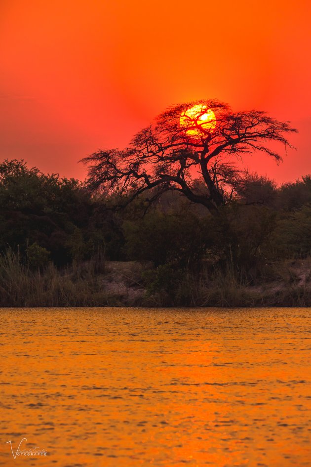 Sunset at the Kavango  River