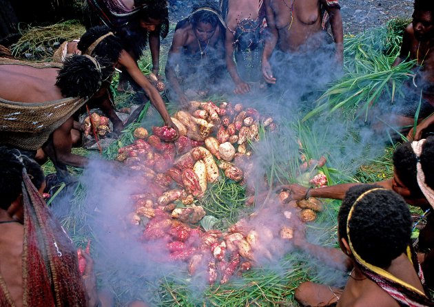 Dani stam Baliem vallei , West Papoea Indonesië