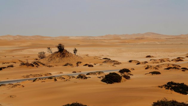 Woestijn in beweging