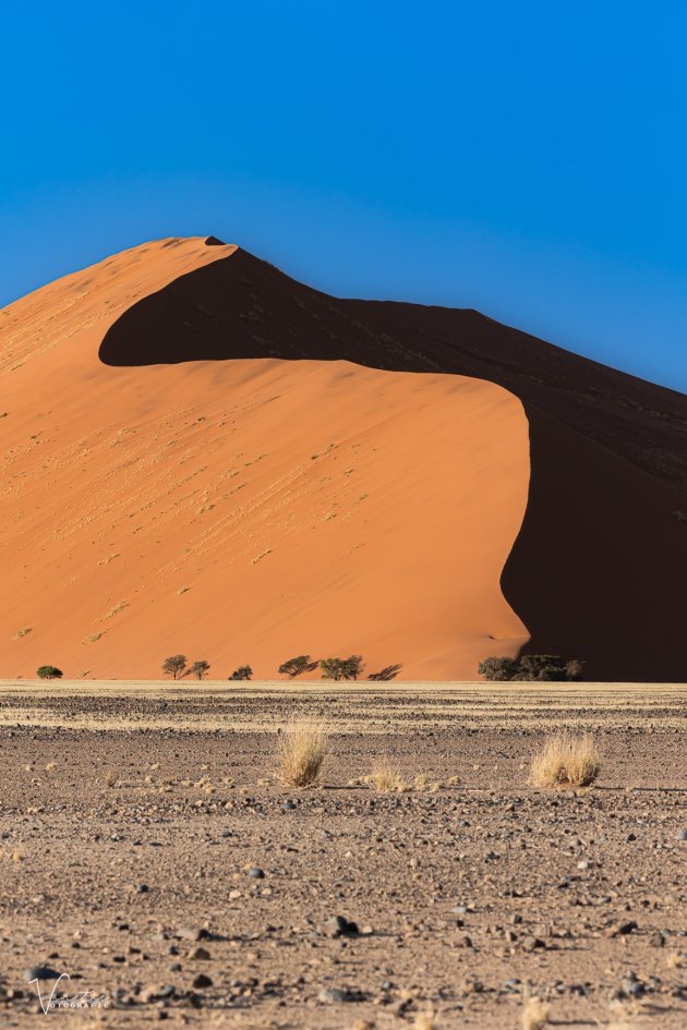The Sossusvlei Dune