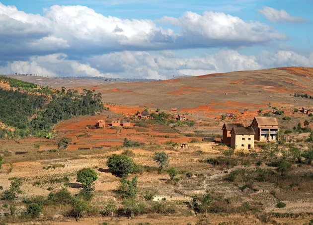 O, o Madagaskar, wat mis ik je