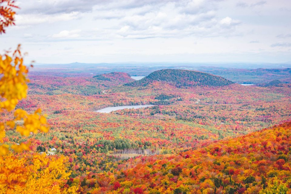 Herfstkleuren in Quebec, Canada. Foto: Getty Images