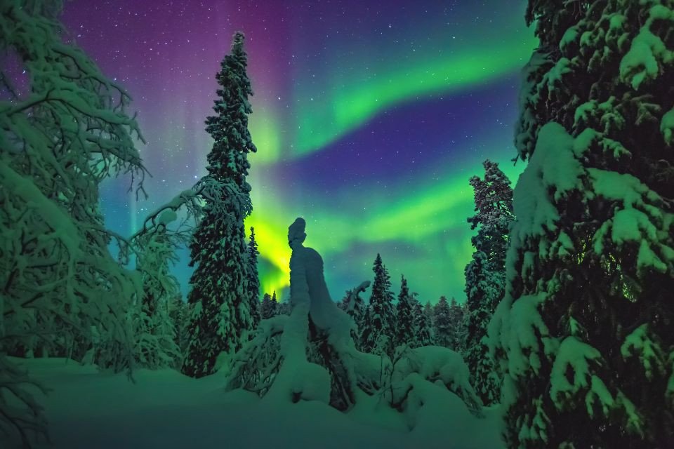 Noorderlicht/ Aurora Borealis in Finland. Foto: Getty Images