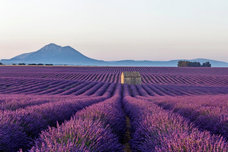 In het hart van de Provence in Frankrijk. Foto: Getty Images