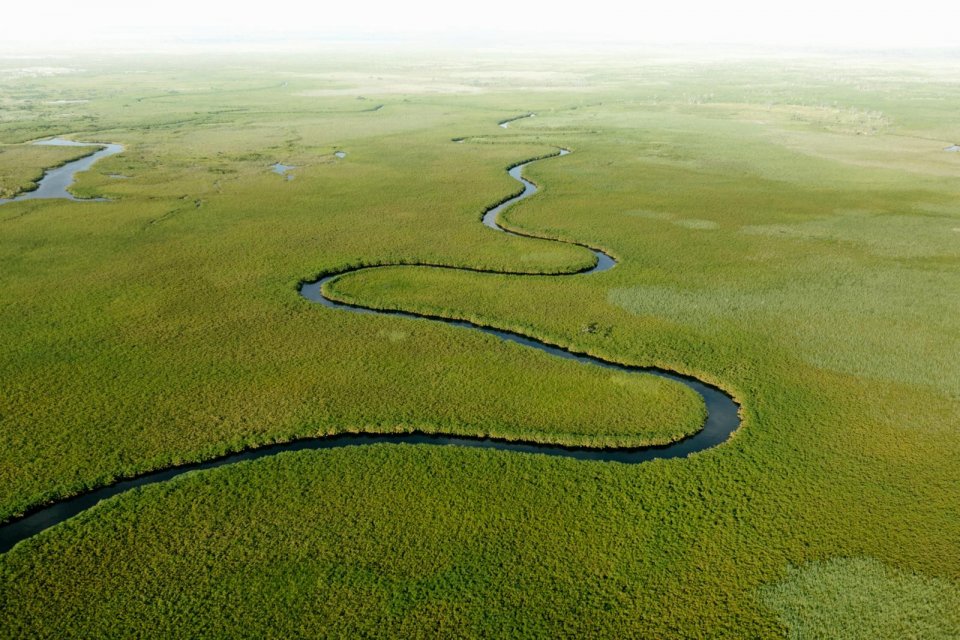 Het Ngogkanaal in Botswana, Okavango Delta. Foto: Pie Aerts