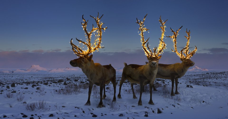 Kerstmis in Inari, Finland.Foto: Getty Images