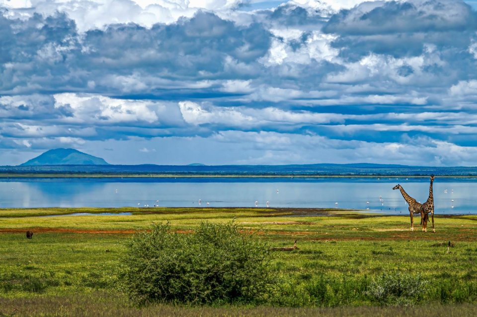Lake Manyara, een nationaal park in het noorden van Tanzania. Foto: Jan Willem Hartmann