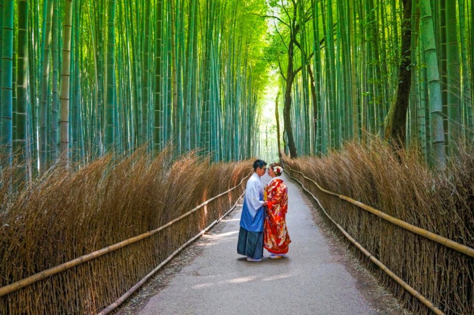 Het bamboebos van Arashiyama in de miljoenenstad Kioto, het culturele hart van Japan, werd aangelegd als akoestische. Foto: Yvonne de Bondt