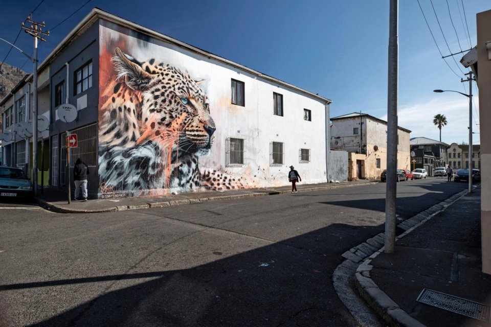 10 tips voor Zuid-Afrika: spot street-art in Kaapstad