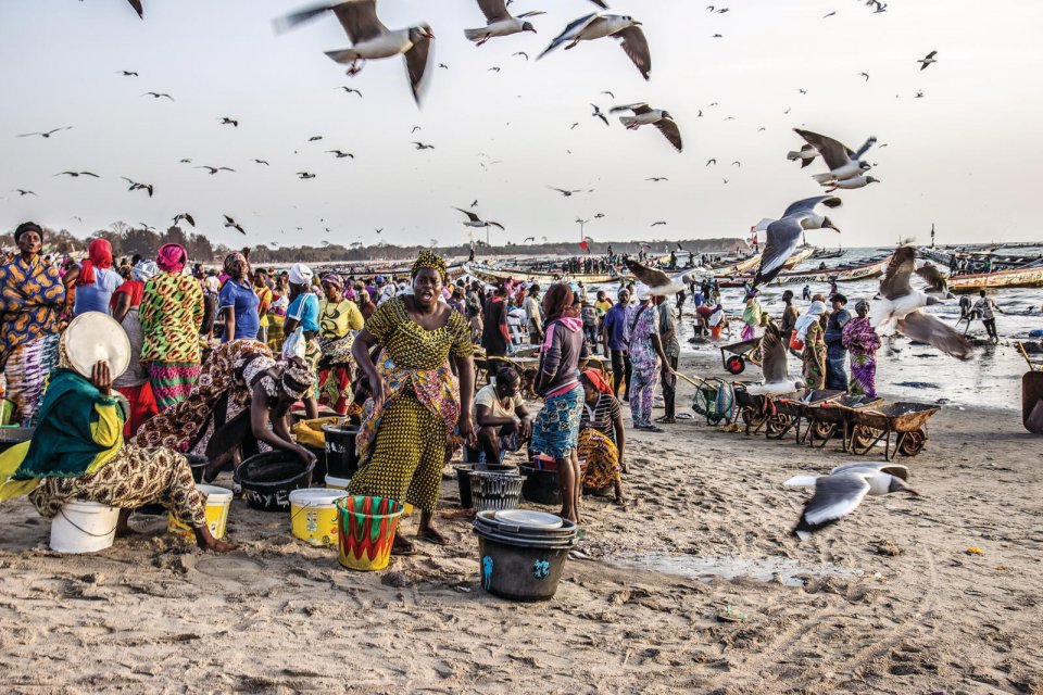 Vismarkt Tanji in Gambia. Foto: Sylvia Overkamp