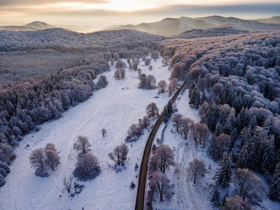 Winter in Harghita in Roemeens Transsylvanië. Foto: GettyImages