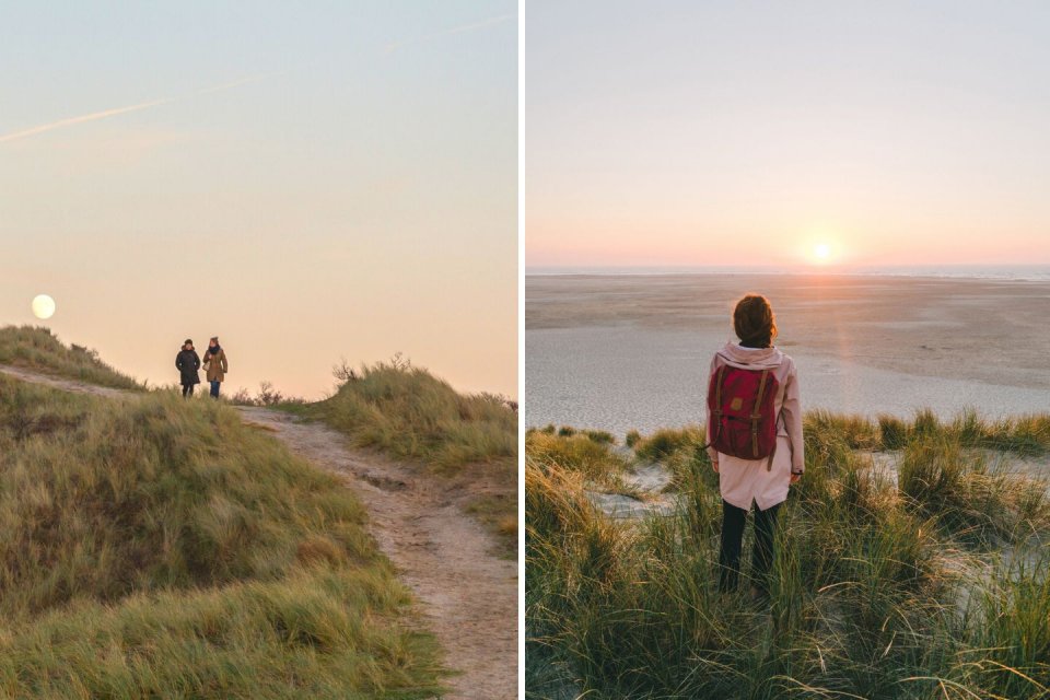 De nationale parken van Noord-Holland: Zuid-Kennemerland (links) en de Duinen van Texel (rechts). Foto: Getty Images