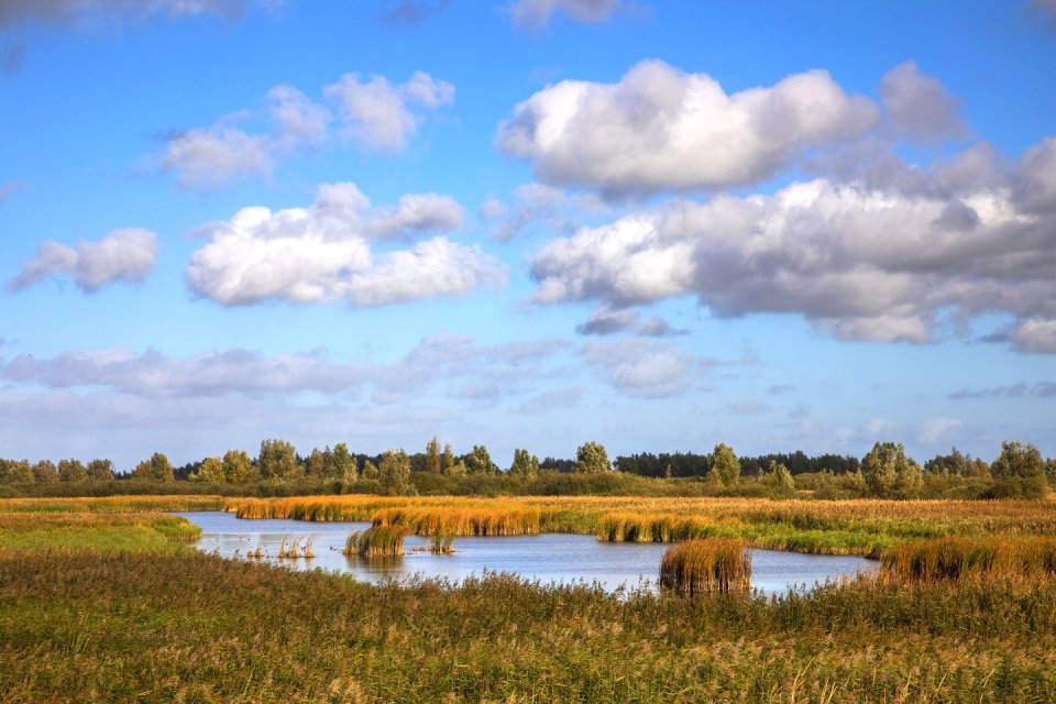 De nationale parken van Friesland en Groningen: Lauwersmeer. Foto: ANP/ Hollandse Hoogte/ Sijmen Hendriks