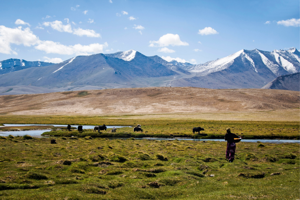 Het enige nationaal park van Tadzjikistan is Tajik. Foto: GettyImages