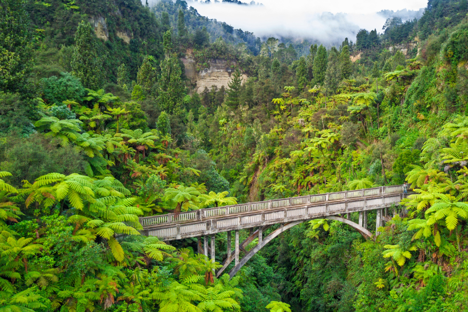 De grote, betonnen brug over een diepe kloof in het regenwoud van Whanganui National Park. Foto Getty Images