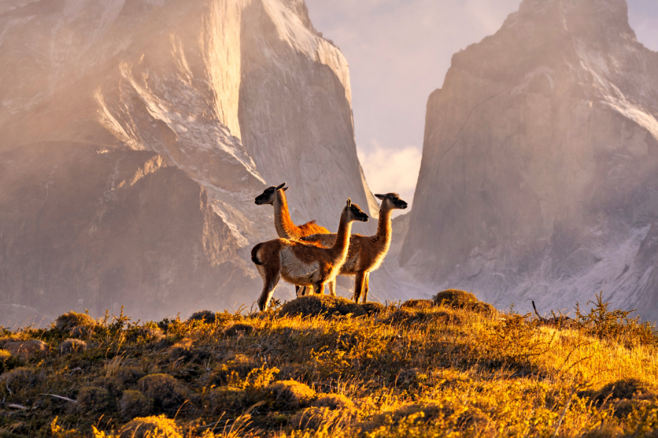Torres del Paine Foto: GettyImages