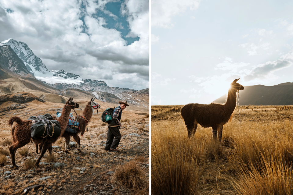 Geniet van de mooie omgeving tijdens een Lama Trek. Foto: Björn Snelders.