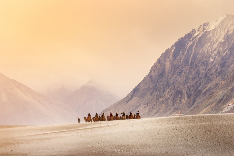 Kamelentocht door de Nubravallei in Ladakh. Foto: Getty Images