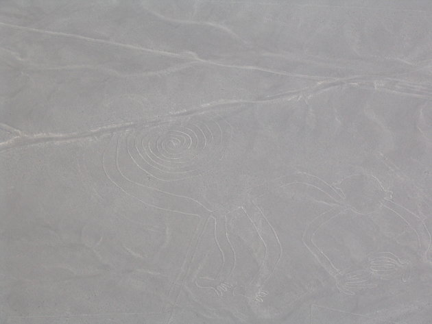 Nazca lijnen