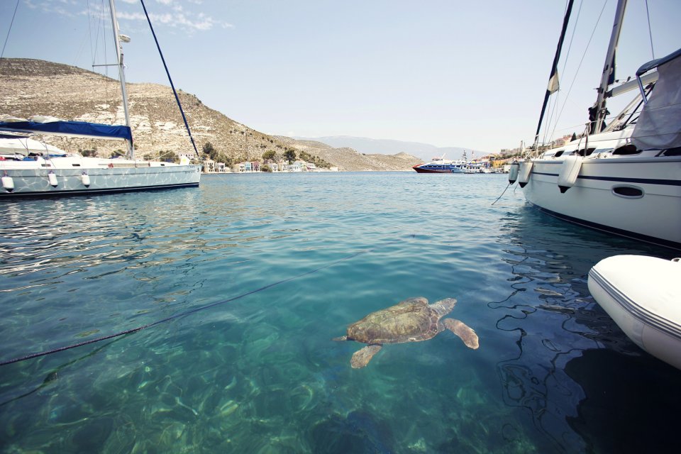 Kastellorizo in Griekenland. Foto: Getty Images